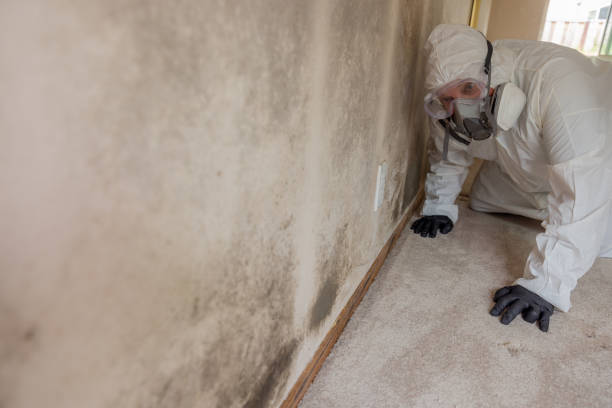 Best Commercial Mold Inspection  in , OR